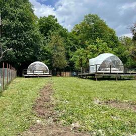 Nikorstminda glamping - Batoni's forest, hotel v destinácii Ambrolauri