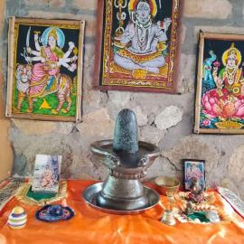 Shiva's Temple, Hotel in San Carlos