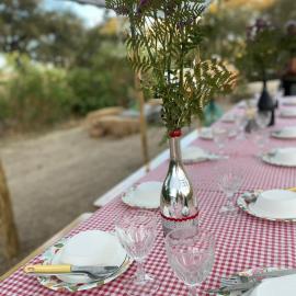 Azienda Agricola Veldidonna, hotel ad Aggius