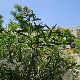Blife Candya private apartment, hotel em Monte Negro