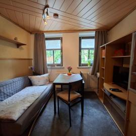 ansimali 2 - Apartment mit Wohn- und Schlafraum, integrierter Küchenzeile, separater Dusche und WC - ideal für Alleinreisende und Monteure am Spiegelwald