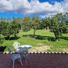 Casa das Lameiras, Hotel in Sardoal