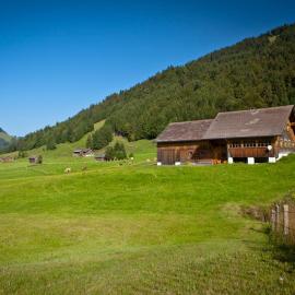 Leo's Hütte Sippersegg