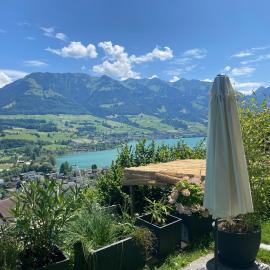 Chalet Seeblick，薩爾嫩的飯店