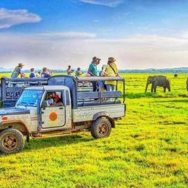 Safari Olee Villa