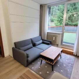 Wolf Appartment very nice for 4, Marilleva 900, Val di Sole, hotel in Mezzana