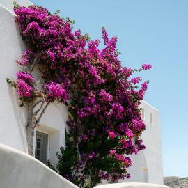 Naxos Kastraki Homey Villa with Sea View