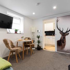 Litzi's Schwarzwald Apartment mit Kamin، فندق في ساسباخفالدن