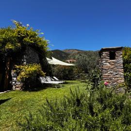 La Casa negli Ulivi - con vista Mare, hotelli Arnascossa