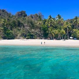 Tour de Bioluminisciencia con Camping, Hotel in Isla Cedros