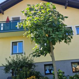 Ferienwohnung am Stadtrand, хотел в Санкт Пьолтен