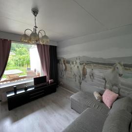 Yksiö Nuutajärvi Pikku Masa, hotel di Nuutajärvi