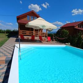 Goran Deljanin, hotel in Kruševac