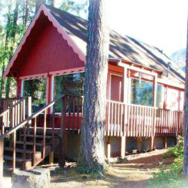 Mt Rainier Little Red Cabin, hotel in Ashford