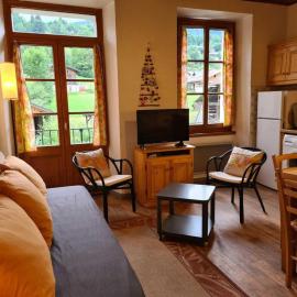 Maison mitoyenne familiale avec 2 appartements - idéal grande famille - FR-1-642-13