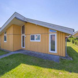 exklusives skandinavisches Ferienhaus