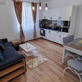 Apartament DVR Baile Felix, Hotel in Sînmartin