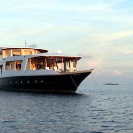 MV Aisha Shafari Boat