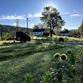 Farm stay at Løkka farm, hotel din Bærums Verk