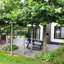 Luxe vakantiewoning met stoomcabine, bubbelbad en grote tuin