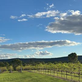 Lusso Retreats - South Burnett - 2 Bedroom Retreat, hotel i Moffatdale