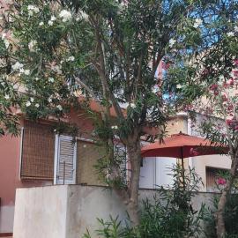 A 2 passi dalla piazza, hotel in Ustica