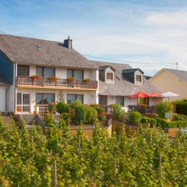 Pension und Weingut Moselblick, hotel v destinaci Brauneberg