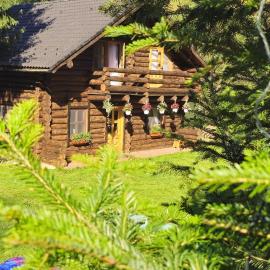 Cabana Daria Arieseni, Hotel in Arieşeni
