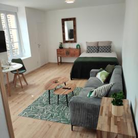 CMG Studio XL 202 Petit Bois Place Ducale