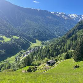 Grand Chalet du Mayen de Planraveire