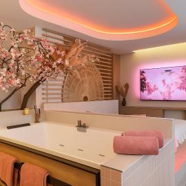 Blossom Suite-Hyper centre Jacuzzi Balcon clim, хотел в Лион