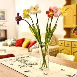 Zaffiro - Stay Pietra Blu Apartments
