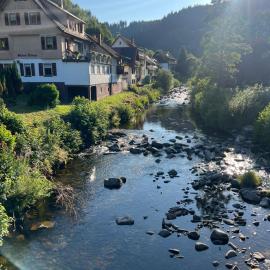 Murgtal Traum Apartment Schwarzwald