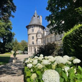 Château de Montigny-sur-Aube, hotelli kohteessa Montigny-sur-Aube