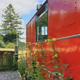 The Megabus near Tavistock and Dartmoor.，Lamerton的飯店