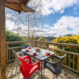 Treetop Hideaway - Taupo Holiday Home