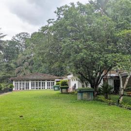 Heritage Kithulgala Rest House - Historic Home to a Bird Sanctuary, מלון בקיטולגאלה