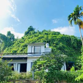 Sunshine Home - Nhà của Nắng, hotel in Yen Bai