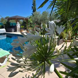 L'Hermine Occitane B&B