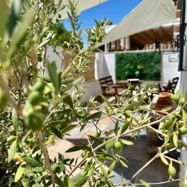 Casita del Olivo, hotel in Aldea Quintana