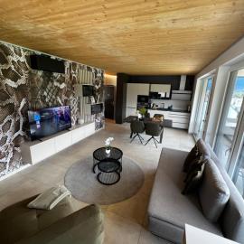 Ossiach Heights - Penthouse mit See- und Bergblick – hotel w mieście Altossiach