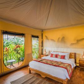 Paddy's Glamping by Manara