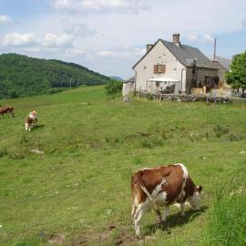 Chez Marraine, hotel in Sauvat