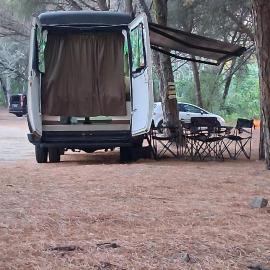 Fandvan