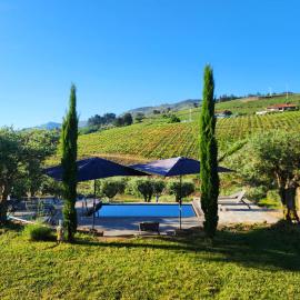 Quinta dos Piscos