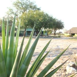 Gelnhausen Game Lodge cc, hotel a Otavi