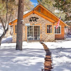 Lily's Bear Cabin #2544