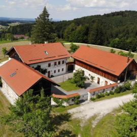 Ferienwohnung nähe Attersee - Traunsee LEHNER IM WALD idyllisches Landhaus in Alleinlage, מלון בRutzenmoos