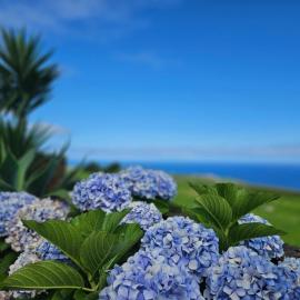 Ocean View - Nordeste