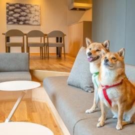 Rakuten STAY VILLA Aso Kurokawa -105 1LDK pet allowed Capacity of 6 persons, hotel en Minamioguni